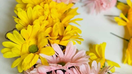 Crafts & DIY Projects - cover